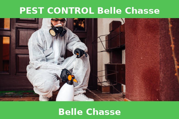 PEST CONTROL Belle Chasse